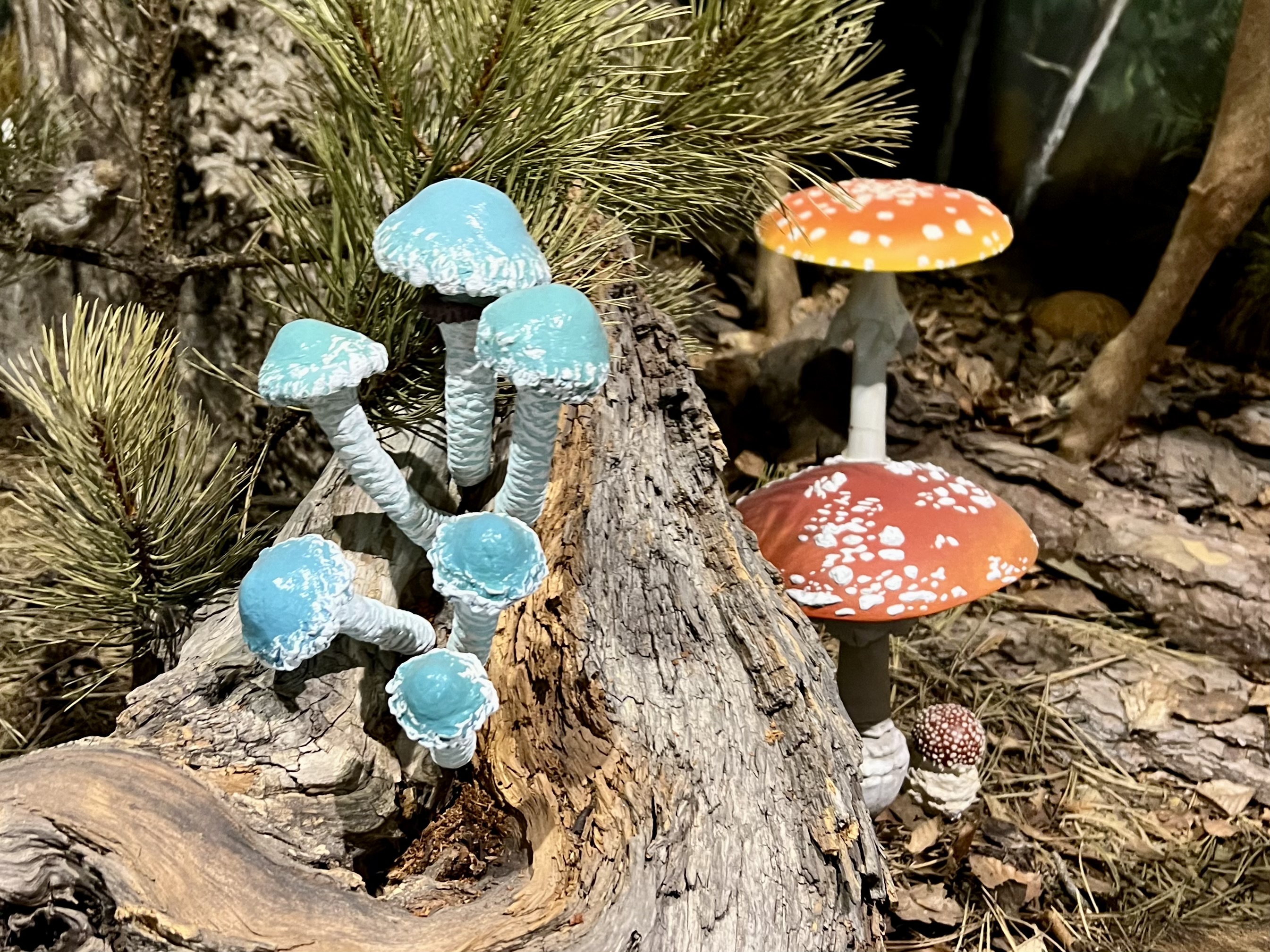 The Wonderful, Weird Mushroom Museum of Meteora, Greece - Traveler